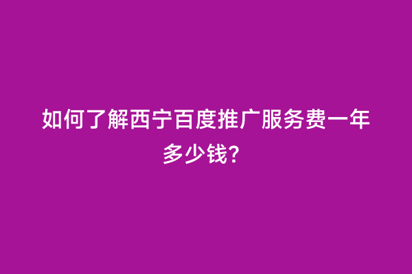 如何了解西宁百度推广服务费一年多少钱？