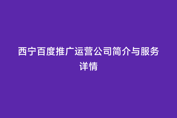 西宁百度推广运营公司简介与服务详情