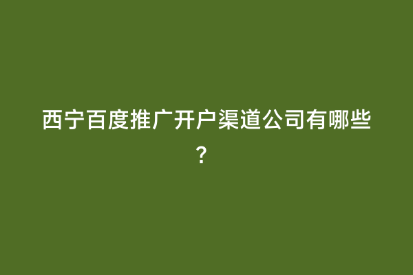 西宁百度推广开户渠道公司有哪些？