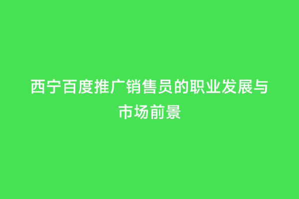 西宁百度推广销售员的职业发展与市场前景