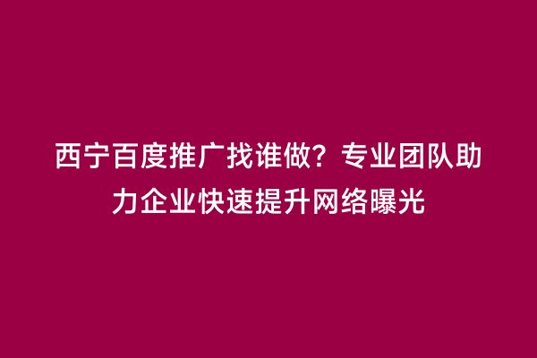 西宁百度推广找谁做？专业团队助力企业快速提升网络曝光