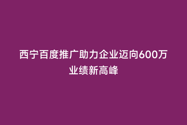 西宁百度推广助力企业迈向600万业绩新高峰