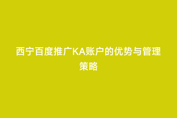 西宁百度推广KA账户的优势与管理策略