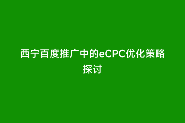 西宁百度推广中的eCPC优化策略探讨