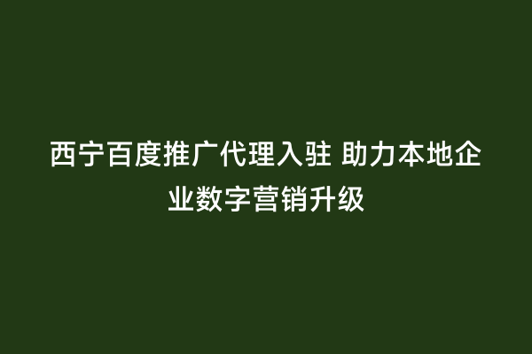 西宁百度推广代理入驻 助力本地企业数字营销升级