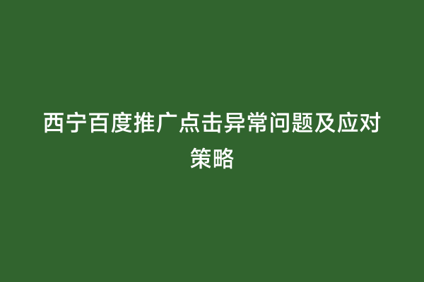 西宁百度推广点击异常问题及应对策略