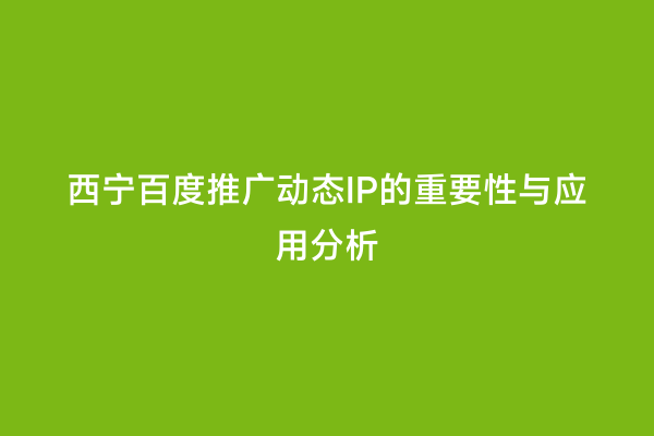 西宁百度推广动态IP的重要性与应用分析