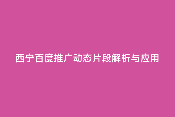 西宁百度推广动态片段解析与应用
