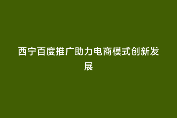 西宁百度推广助力电商模式创新发展