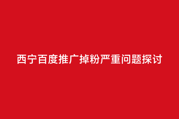 西宁百度推广掉粉严重问题探讨