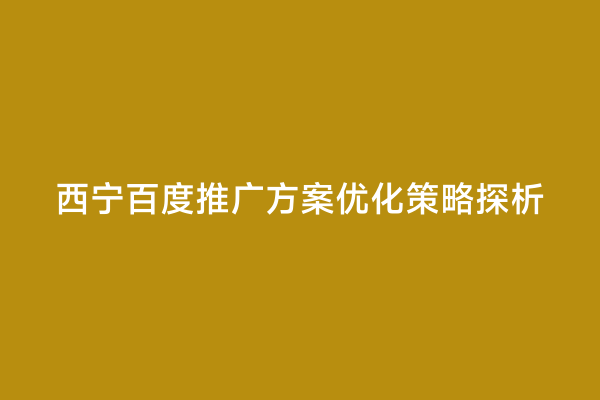 西宁百度推广方案优化策略探析
