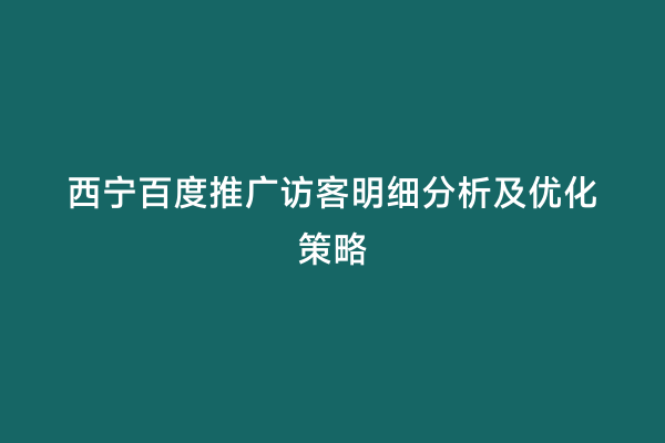 西宁百度推广访客明细分析及优化策略