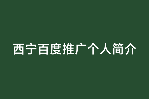 西宁百度推广个人简介