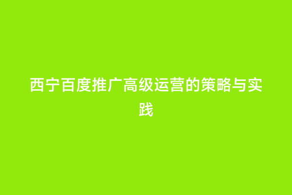 西宁百度推广高级运营的策略与实践