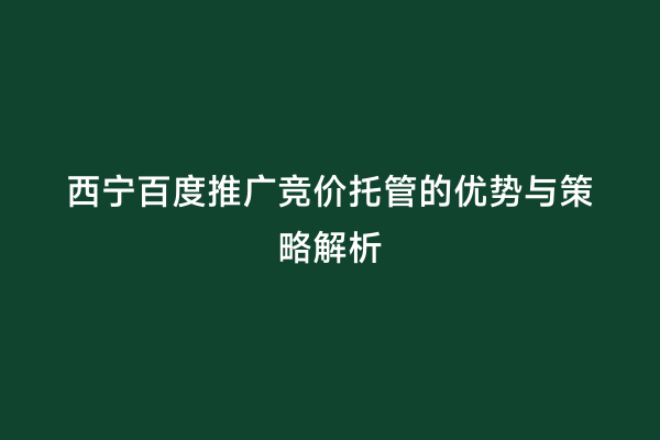 西宁百度推广竞价托管的优势与策略解析