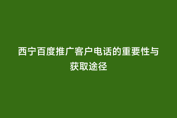 西宁百度推广客户电话的重要性与获取途径