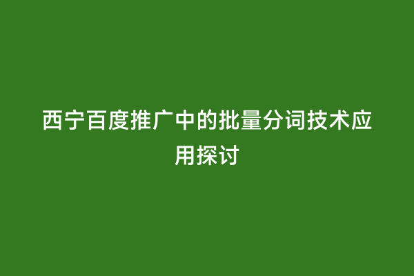 西宁百度推广中的批量分词技术应用探讨