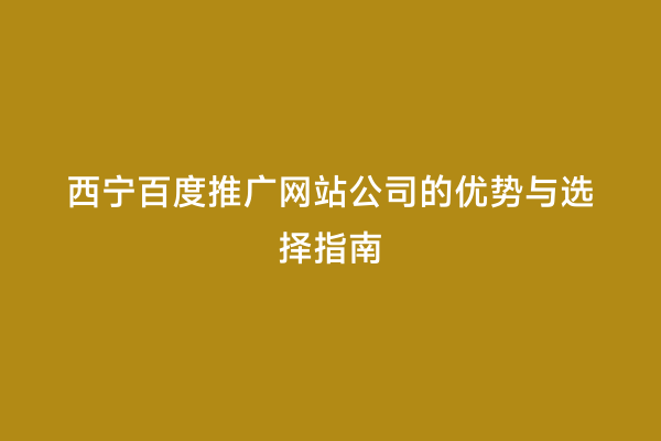 西宁百度推广网站公司的优势与选择指南