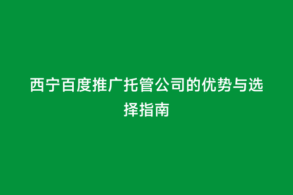 西宁百度推广托管公司的优势与选择指南