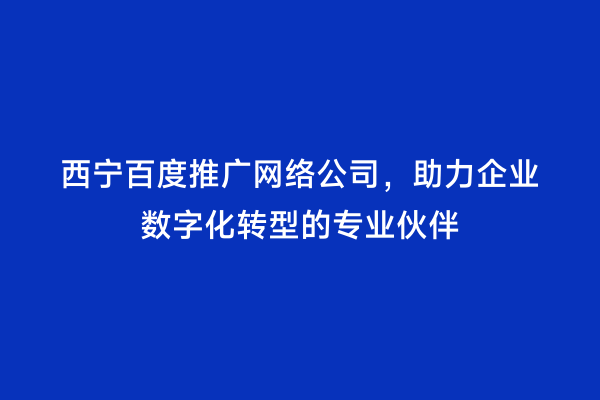 西宁百度推广网络公司，助力企业数字化转型的专业伙伴