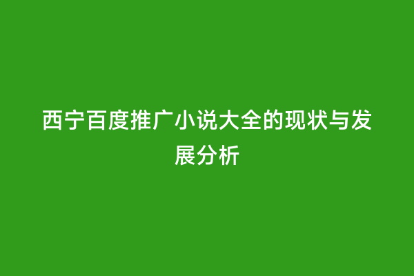西宁百度推广小说大全的现状与发展分析