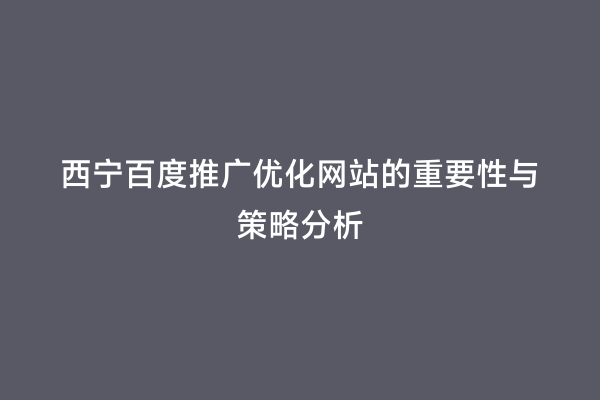 西宁百度推广优化网站的重要性与策略分析