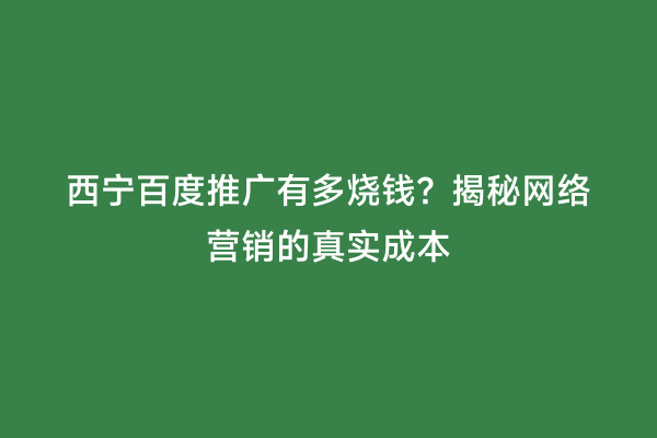西宁百度推广有多烧钱？揭秘网络营销的真实成本