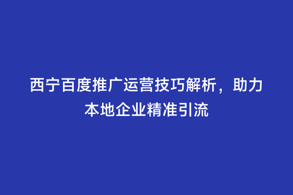 西宁百度推广运营技巧解析，助力本地企业精准引流