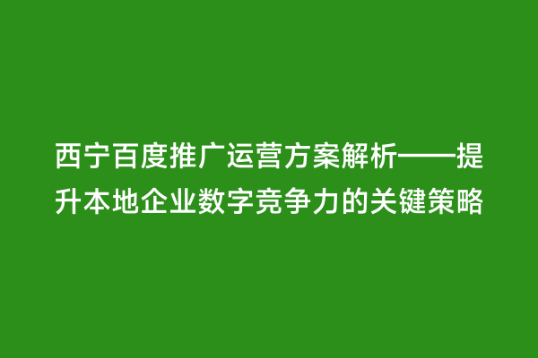 西宁百度推广运营方案解析——提升本地企业数字竞争力的关键策略