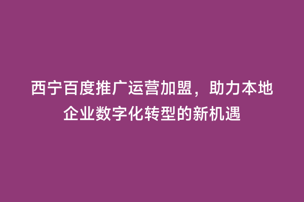 西宁百度推广运营加盟，助力本地企业数字化转型的新机遇