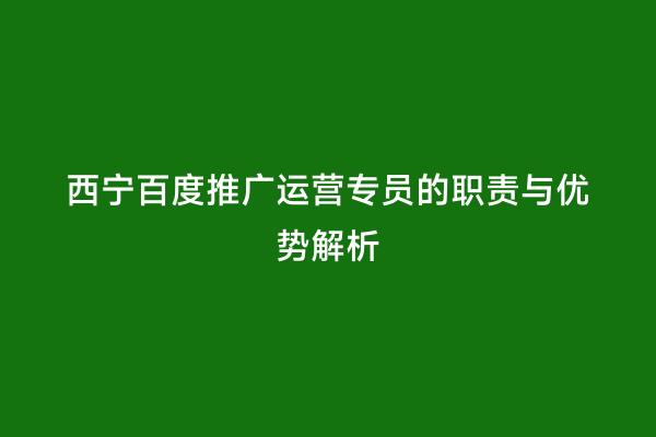 西宁百度推广运营专员的职责与优势解析