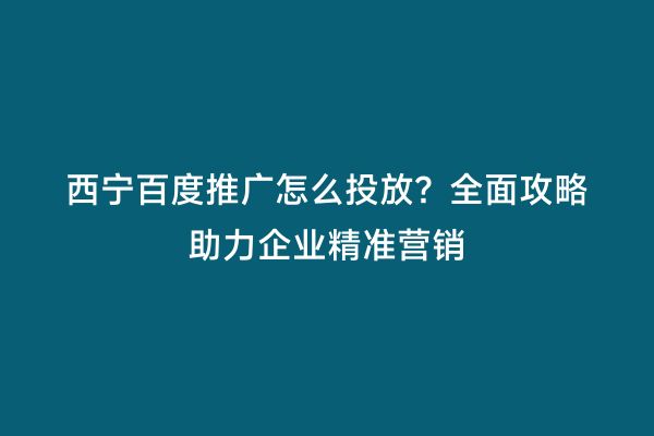 西宁百度推广怎么投放？全面攻略助力企业精准营销