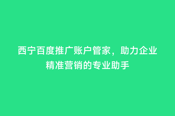 西宁百度推广账户管家，助力企业精准营销的专业助手