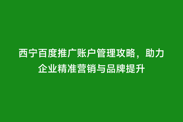 西宁百度推广账户管理攻略，助力企业精准营销与品牌提升
