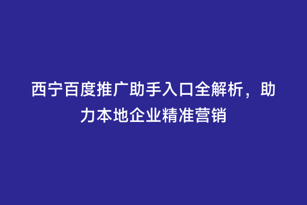 西宁百度推广助手入口全解析，助力本地企业精准营销