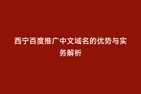 西宁百度推广中文域名的优势与实务解析