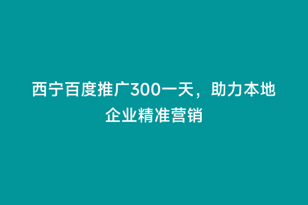 西宁百度推广300一天，助力本地企业精准营销