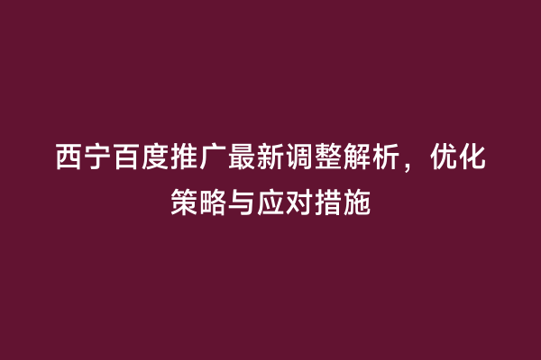 西宁百度推广最新调整解析，优化策略与应对措施