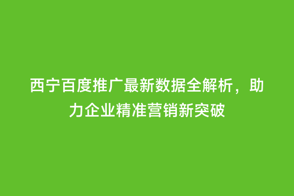 西宁百度推广最新数据全解析，助力企业精准营销新突破