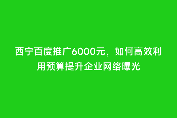 西宁百度推广6000元，如何高效利用预算提升企业网络曝光