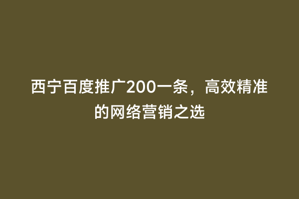 西宁百度推广200一条，高效精准的网络营销之选