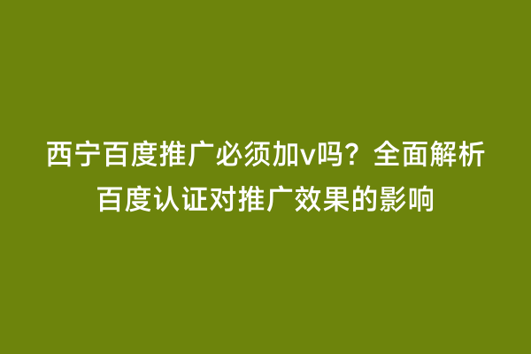 西宁百度推广必须加v吗？全面解析百度认证对推广效果的影响