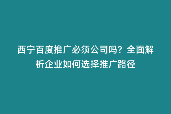 西宁百度推广必须公司吗？全面解析企业如何选择推广路径
