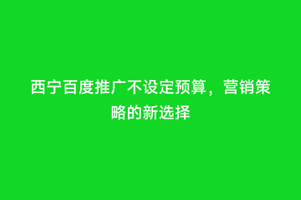 西宁百度推广不设定预算，营销策略的新选择