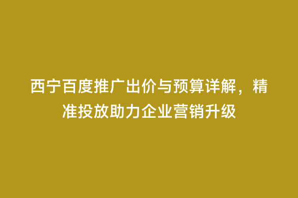 西宁百度推广出价与预算详解，精准投放助力企业营销升级