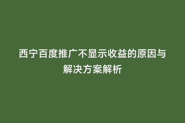 西宁百度推广不显示收益的原因与解决方案解析