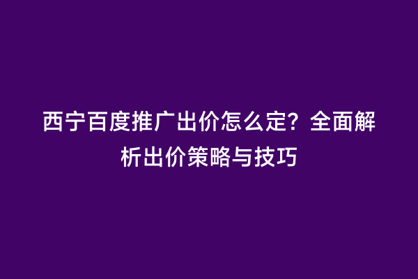 西宁百度推广出价怎么定？全面解析出价策略与技巧