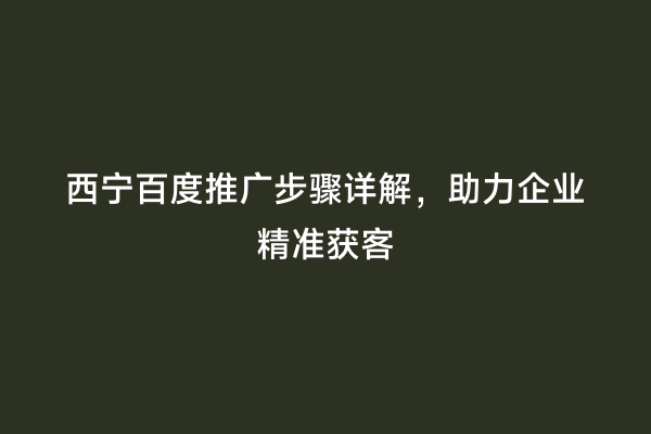 西宁百度推广步骤详解，助力企业精准获客
