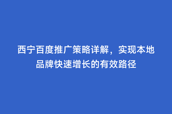 西宁百度推广策略详解，实现本地品牌快速增长的有效路径