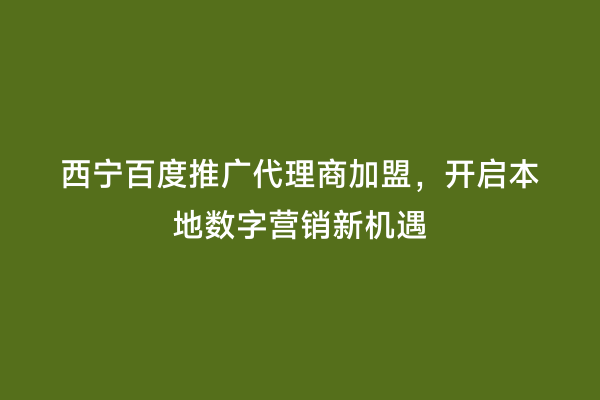 西宁百度推广代理商加盟，开启本地数字营销新机遇